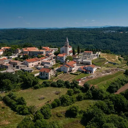 Gala * Kringa