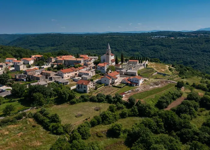 Gala * Kringa